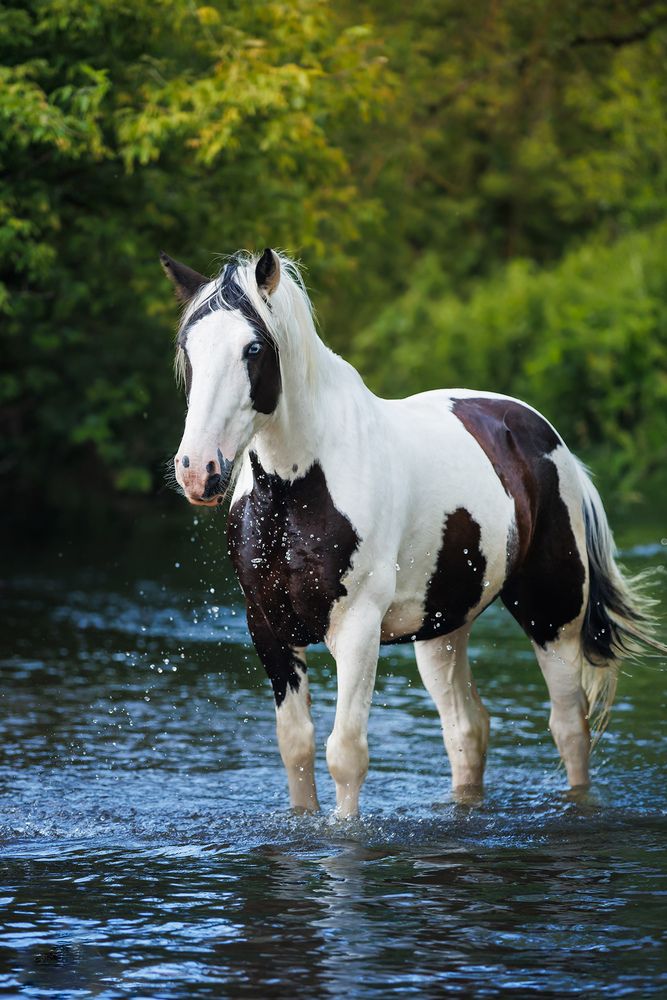 Фотография автора Agata Kołodziejczyk