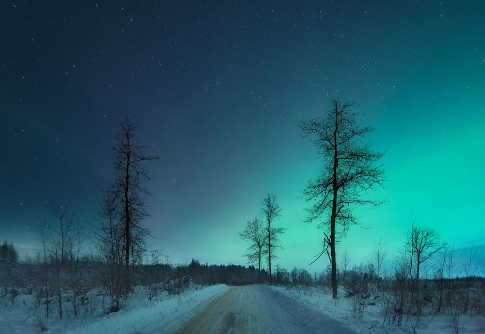 Photograph by Andrew Kuzmin