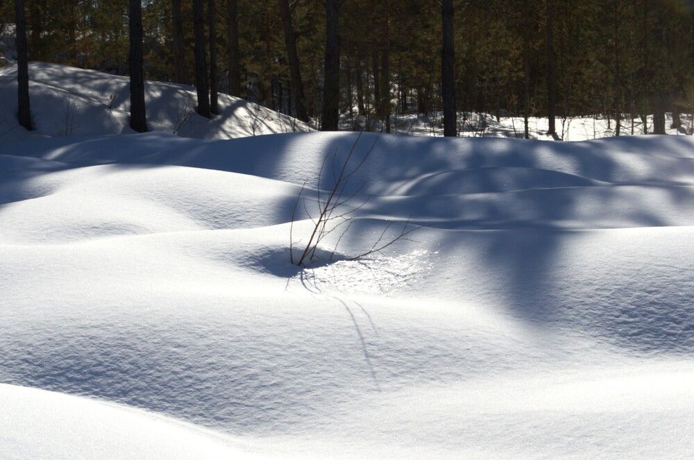 Photograph by Марина Лосева