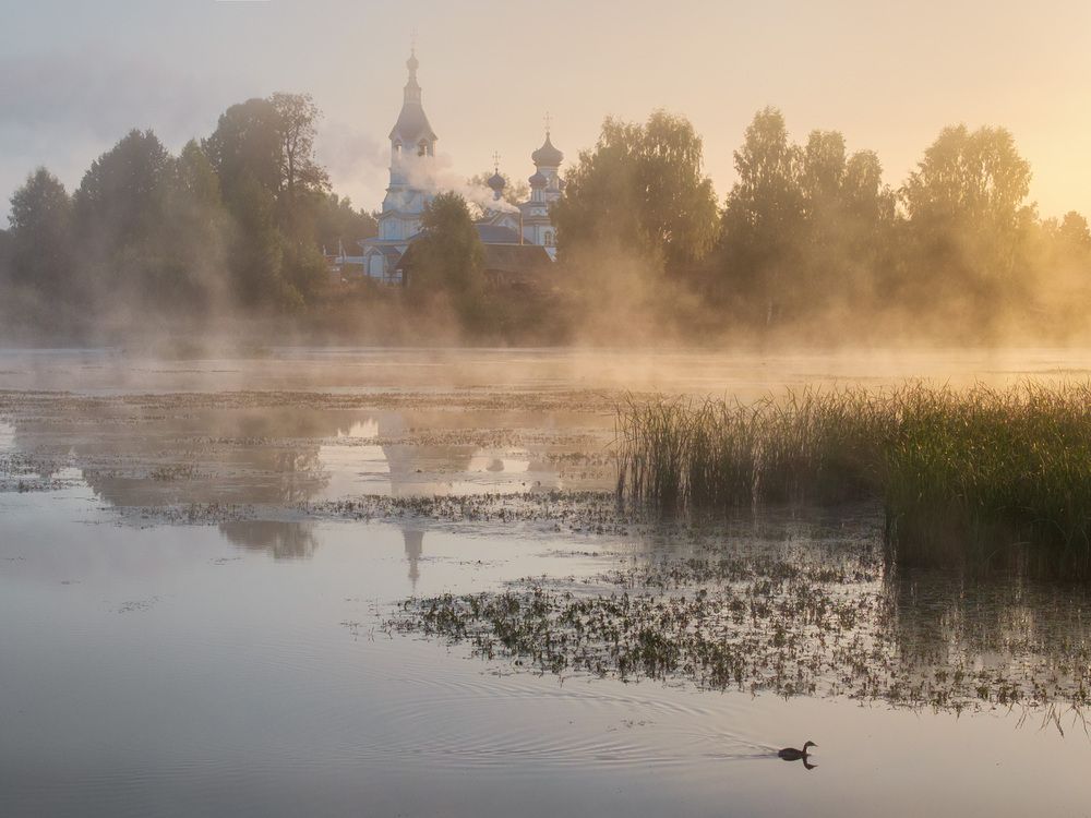 Фотография автора Медянцев Дмитрий