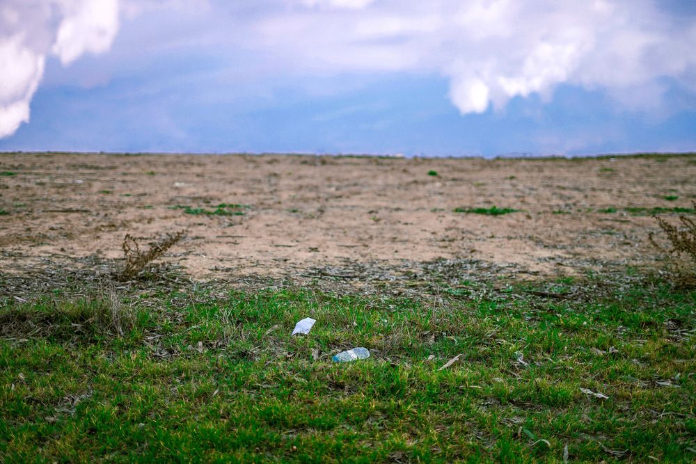 Фотография автора Seyed taha Mosavi