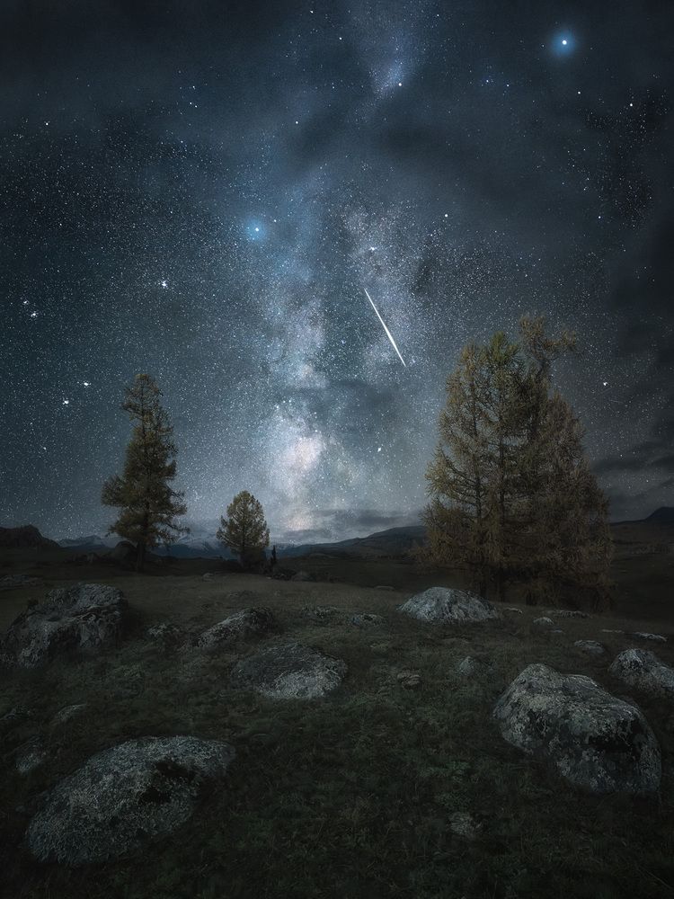 Фотография автора Медянцев Дмитрий