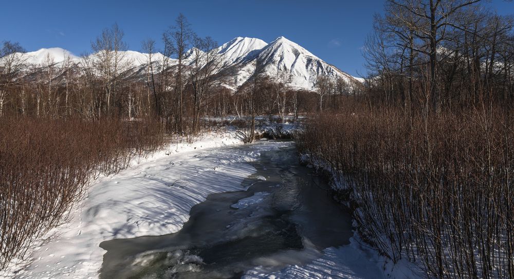 Фотография автора Жора Житников