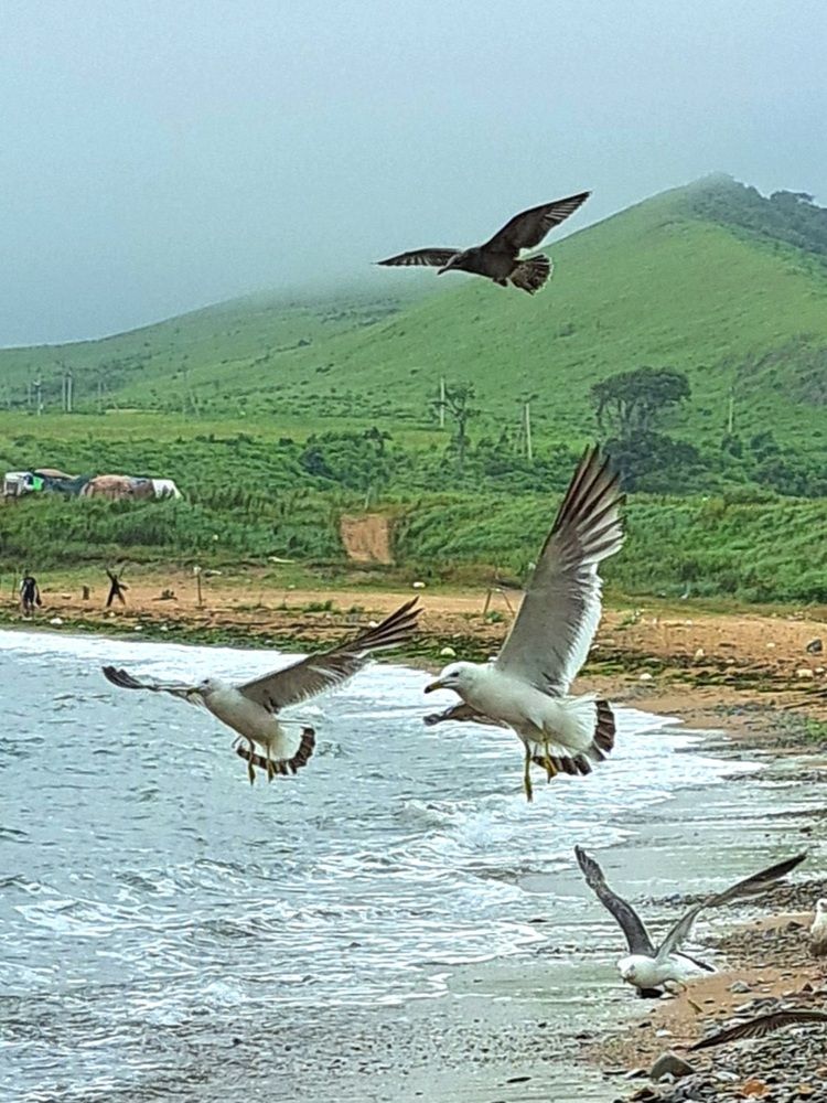 Photograph by Любовь Войтишина