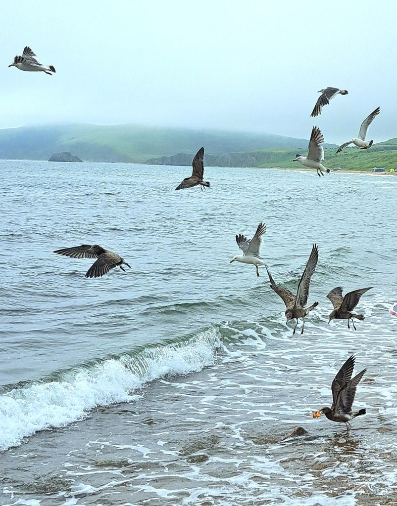 Photograph by Любовь Войтишина