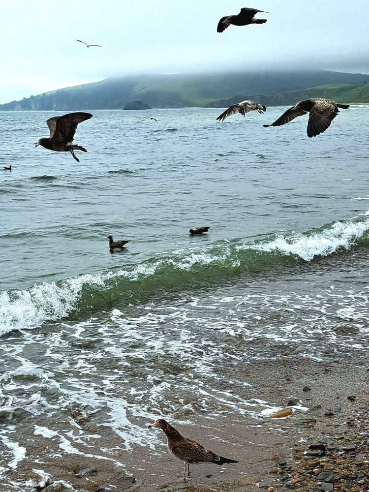 Photograph by Любовь Войтишина