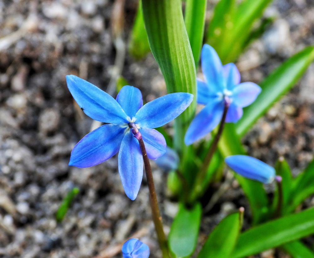 Photograph by Александр Шаварин