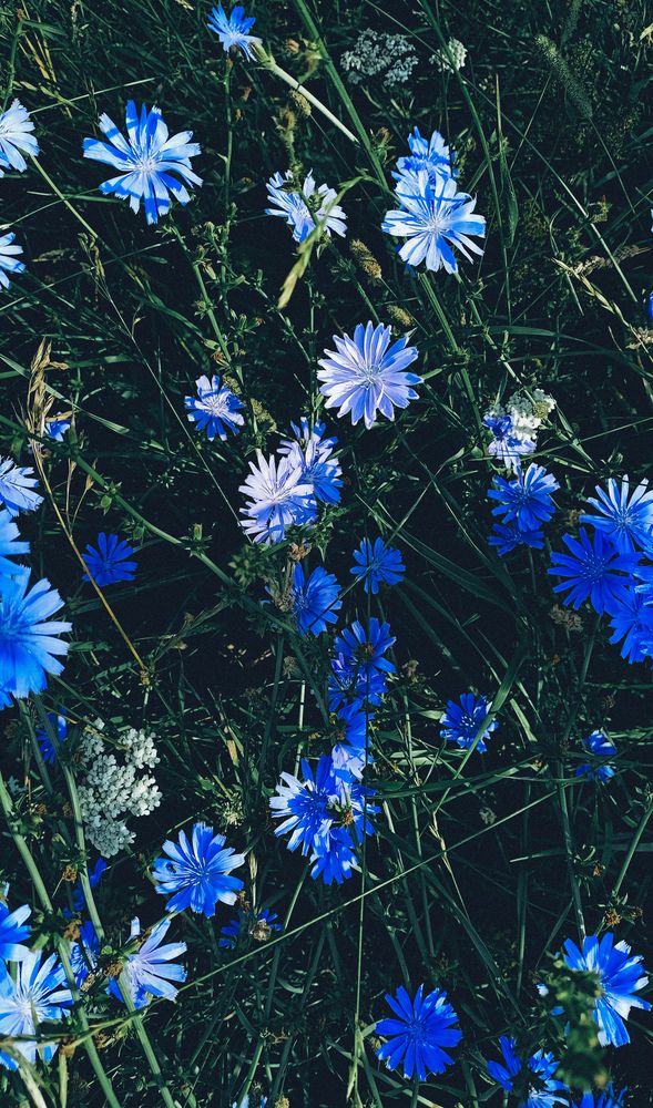 Photograph by Людмила Горячева