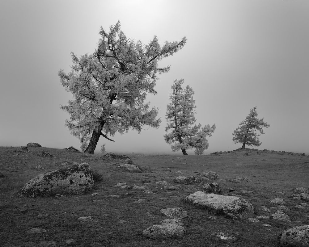 Фотография автора Медянцев Дмитрий