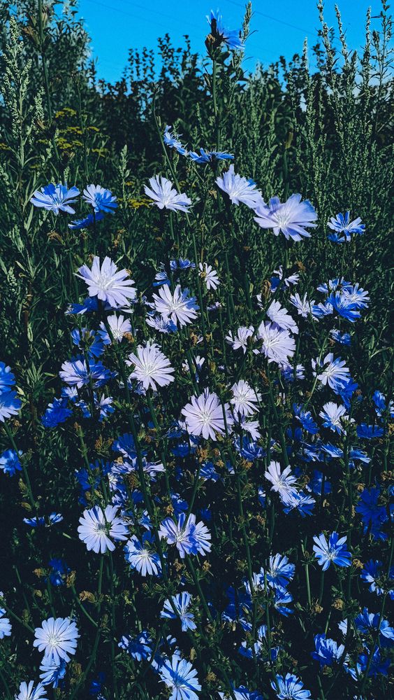 Photograph by Людмила Горячева