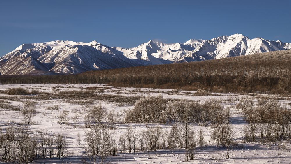 Фотография автора Жора Житников