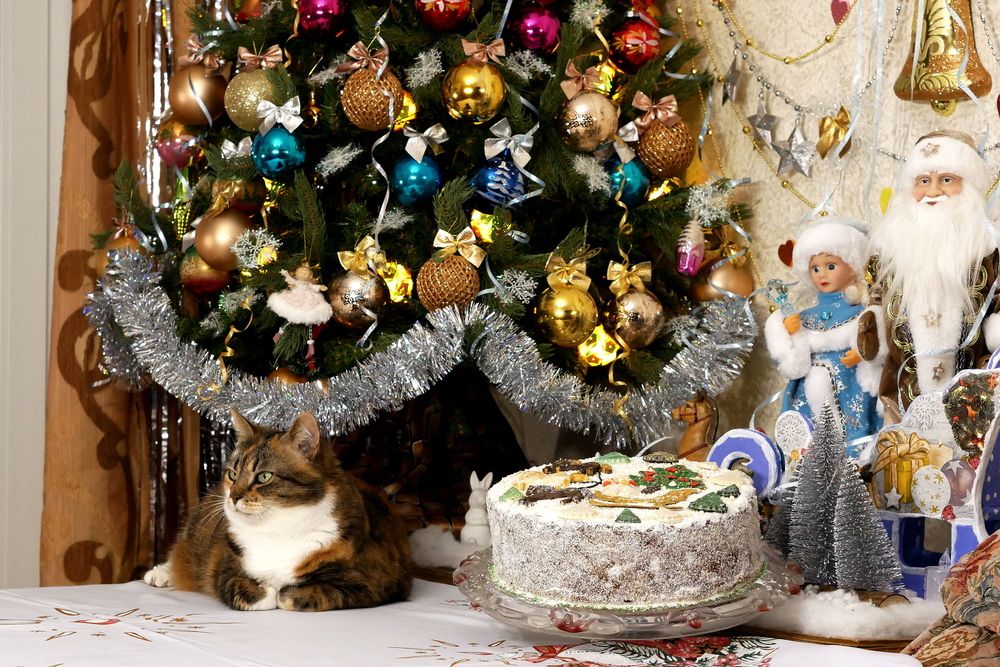 Фотография автора Владимир Лобанов