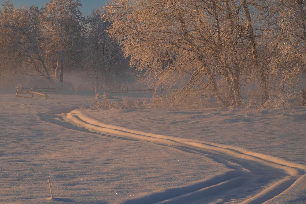Фотография автора Жора Житников
