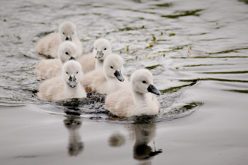 Photograph by Шруб (Беляева) Татьяна