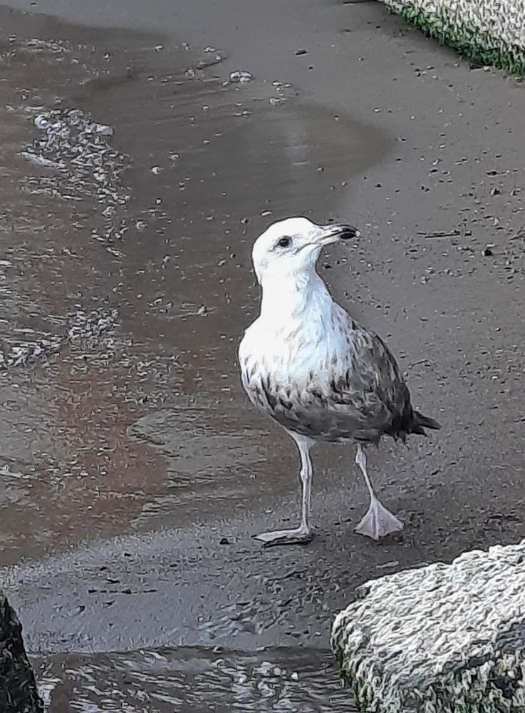 Photograph by Любовь Войтишина