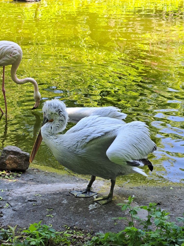 Photograph by Любовь Войтишина