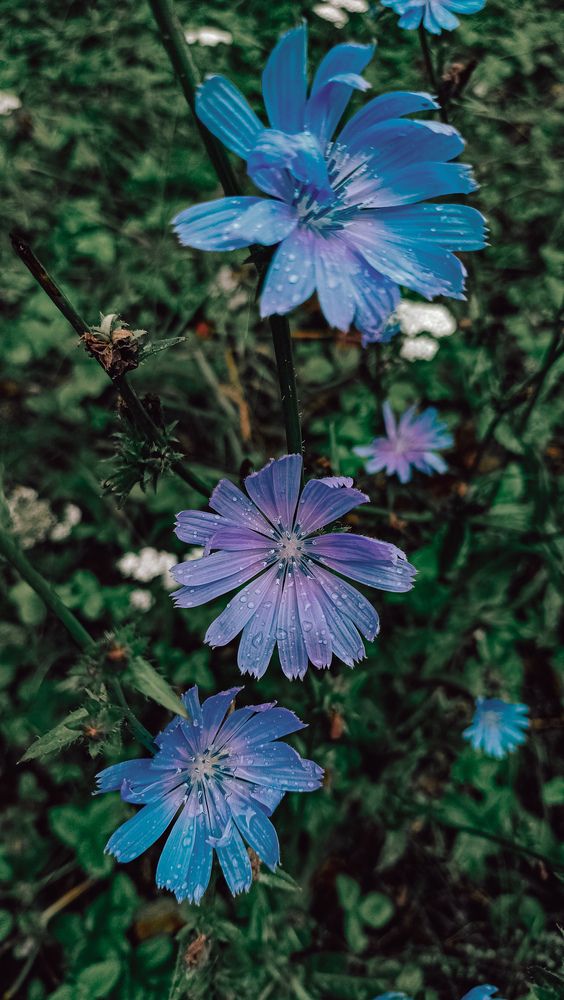 Photograph by Людмила Горячева