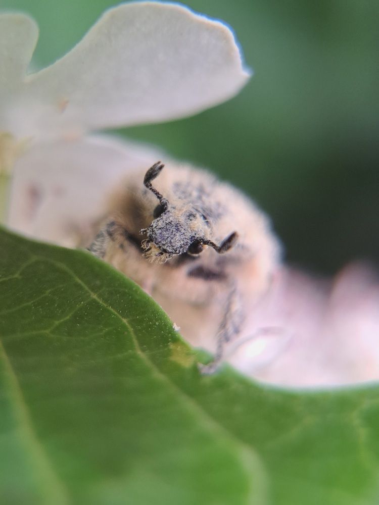 Photograph by Любовь Войтишина