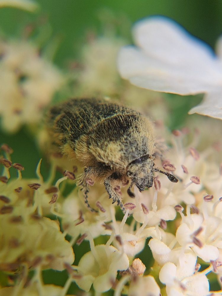 Photograph by Любовь Войтишина