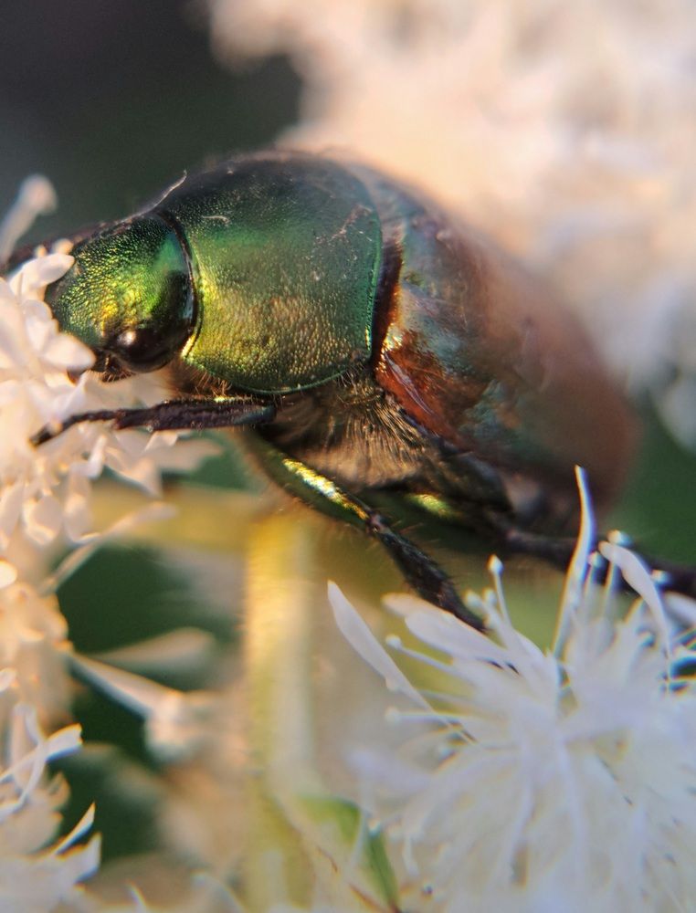 Photograph by Любовь Войтишина