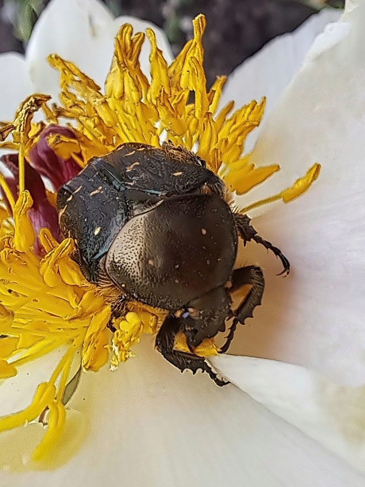 Photograph by Любовь Войтишина