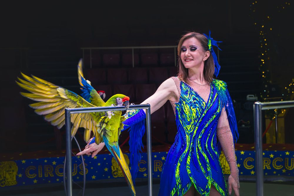 Photograph by Ольга Широкова