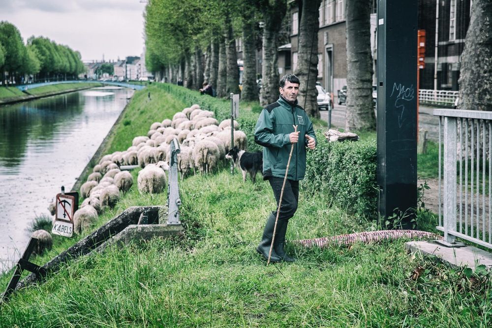 Photograph by Alfonso Bricegno