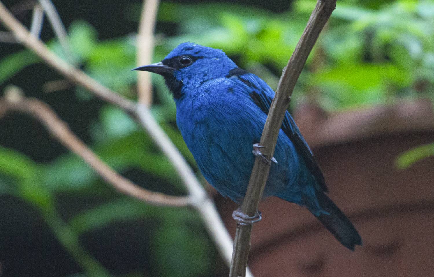 Фотография #13187752