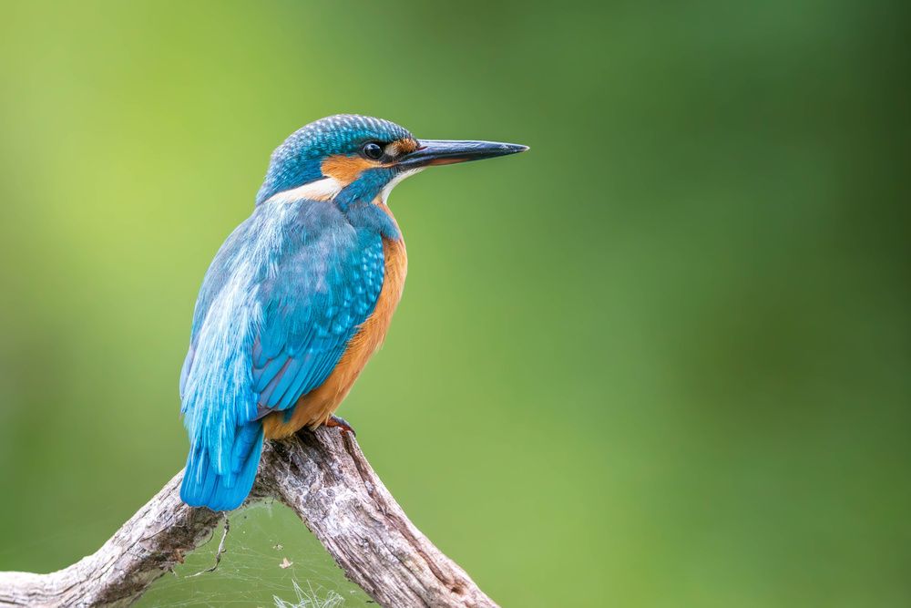 Photograph by Шульгин Вадим