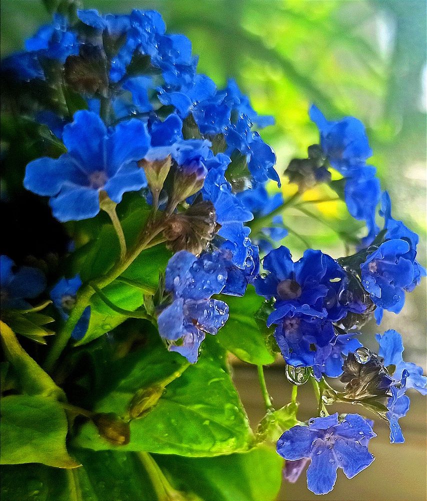 Photograph by Ольга Тихонова