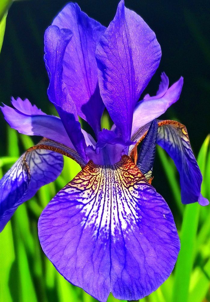 Photograph by Ольга Тихонова