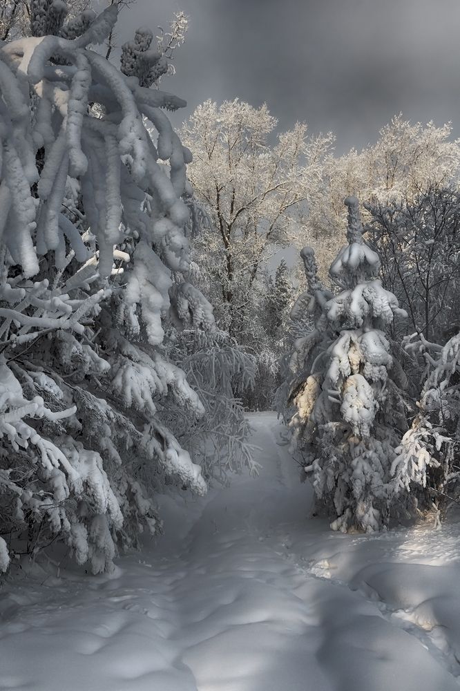 Фотография автора Олег Тетерин