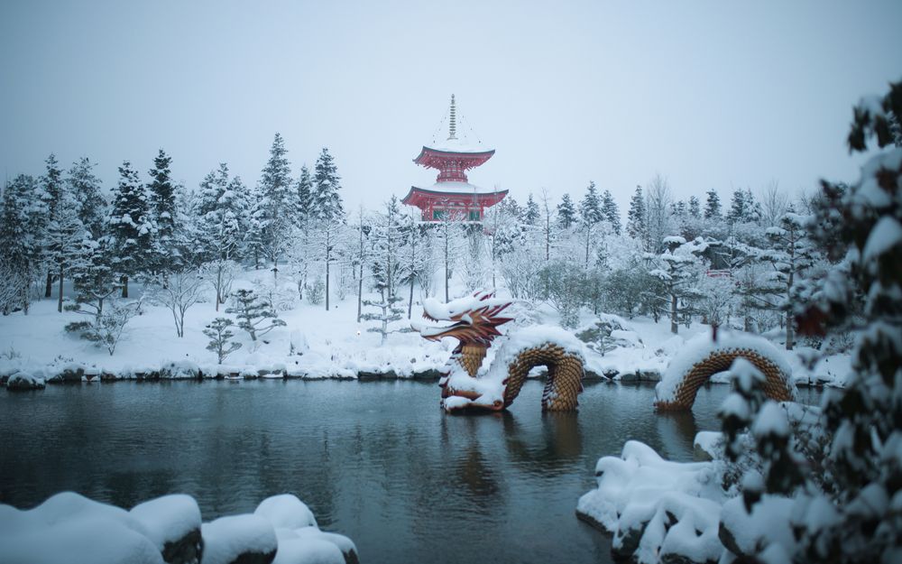 Фотография автора Нестеренко Александр