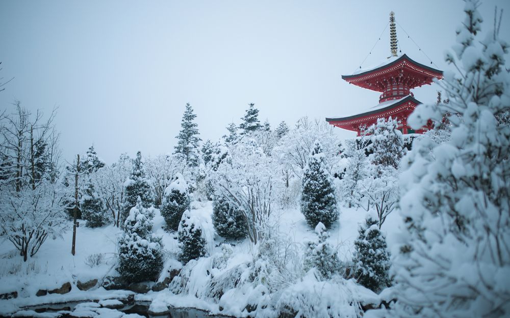 Фотография автора Нестеренко Александр