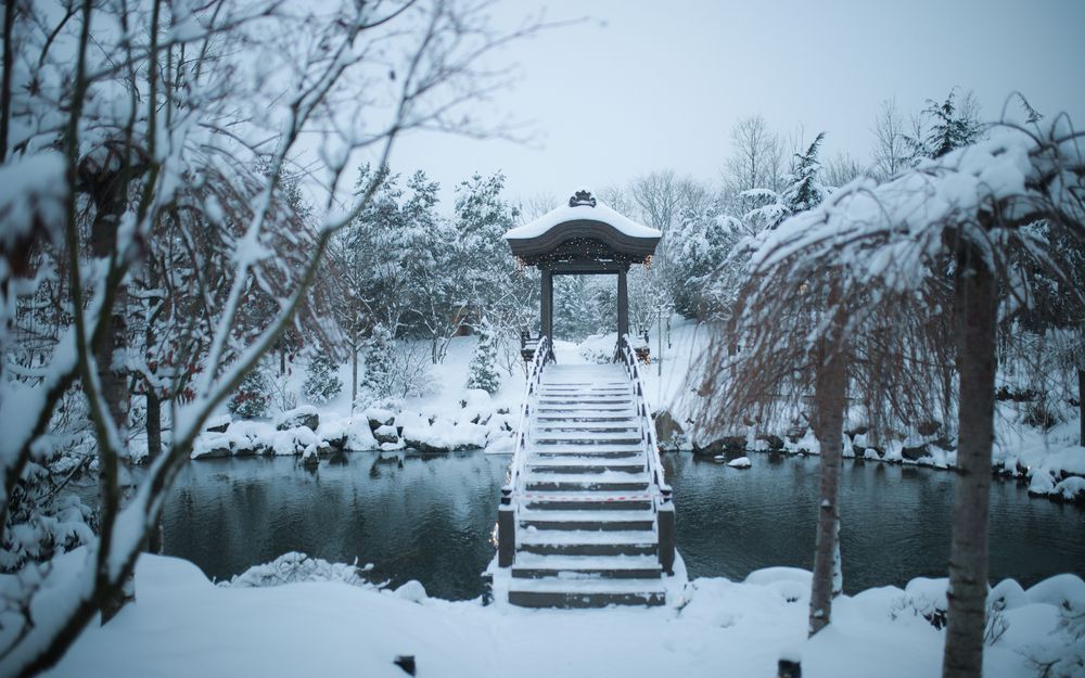 Фотография автора Нестеренко Александр
