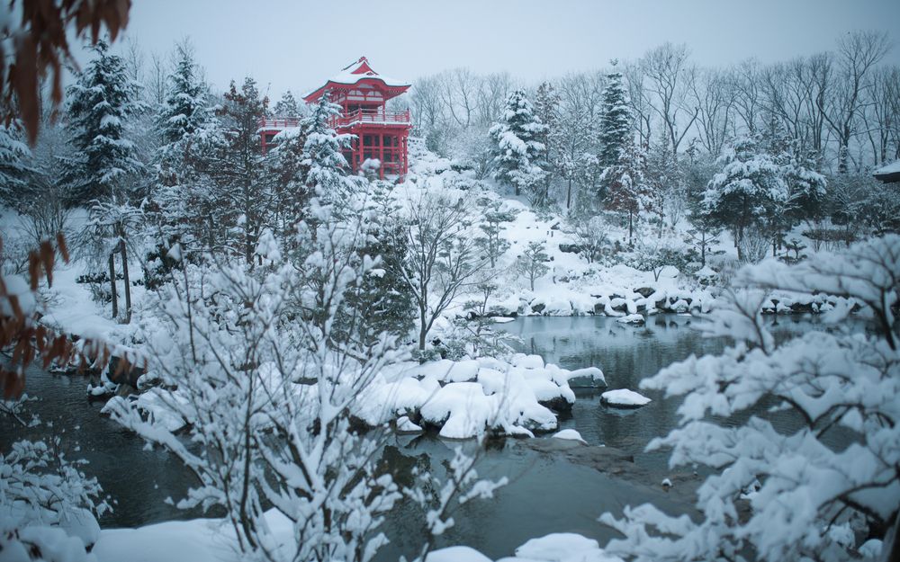 Фотография автора Нестеренко Александр