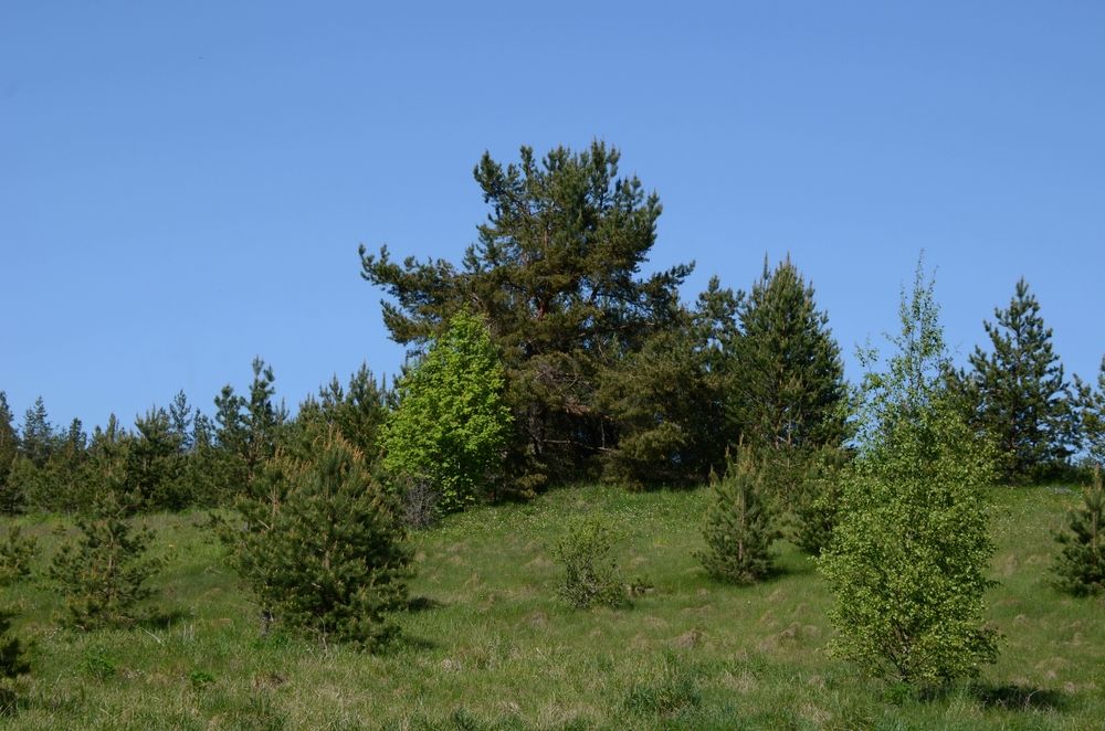 Photograph by Николай Соколовский