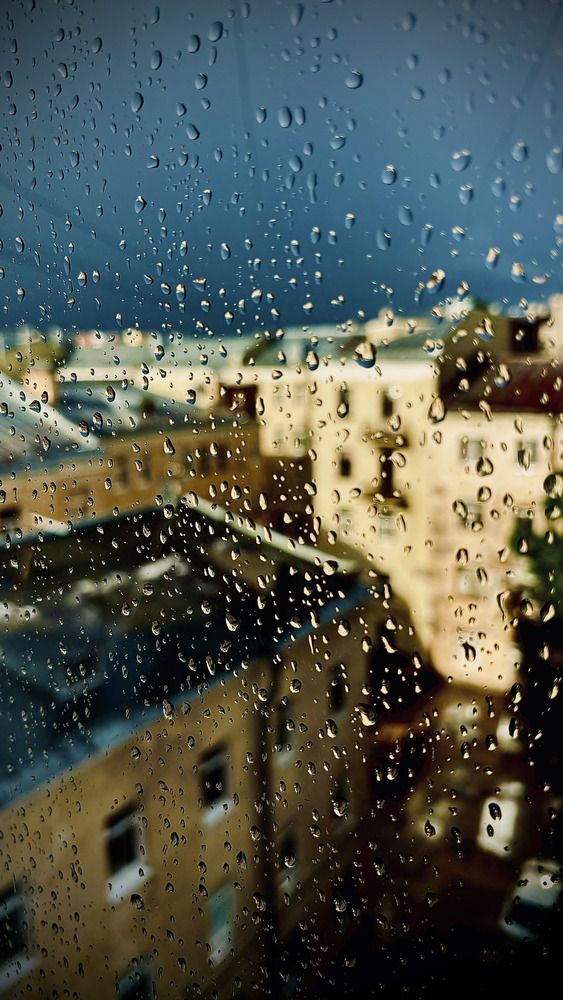 Photograph by Alexander Solovyev