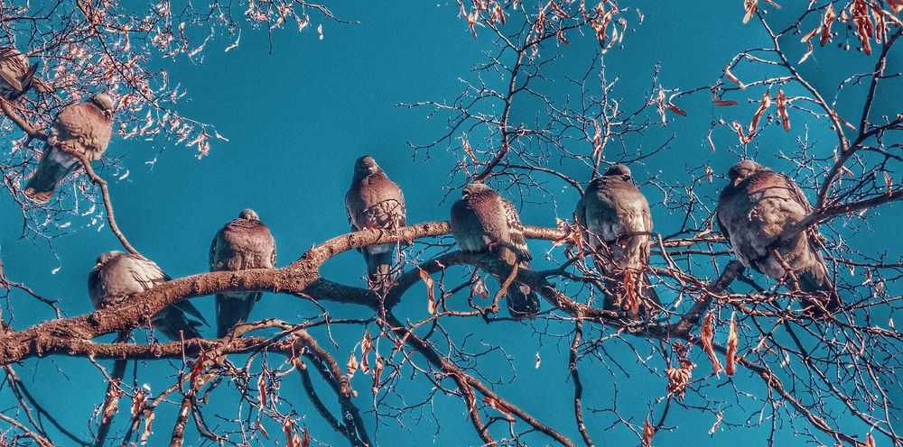 Photograph by Valerya Vasileva