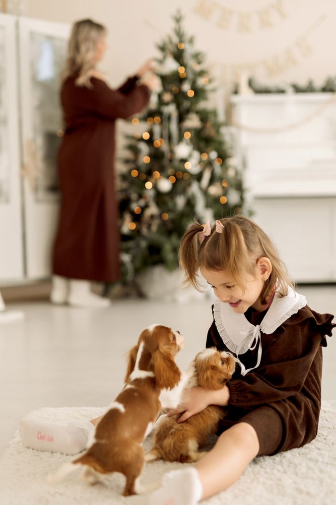 Фотография автора Елена Захаревич