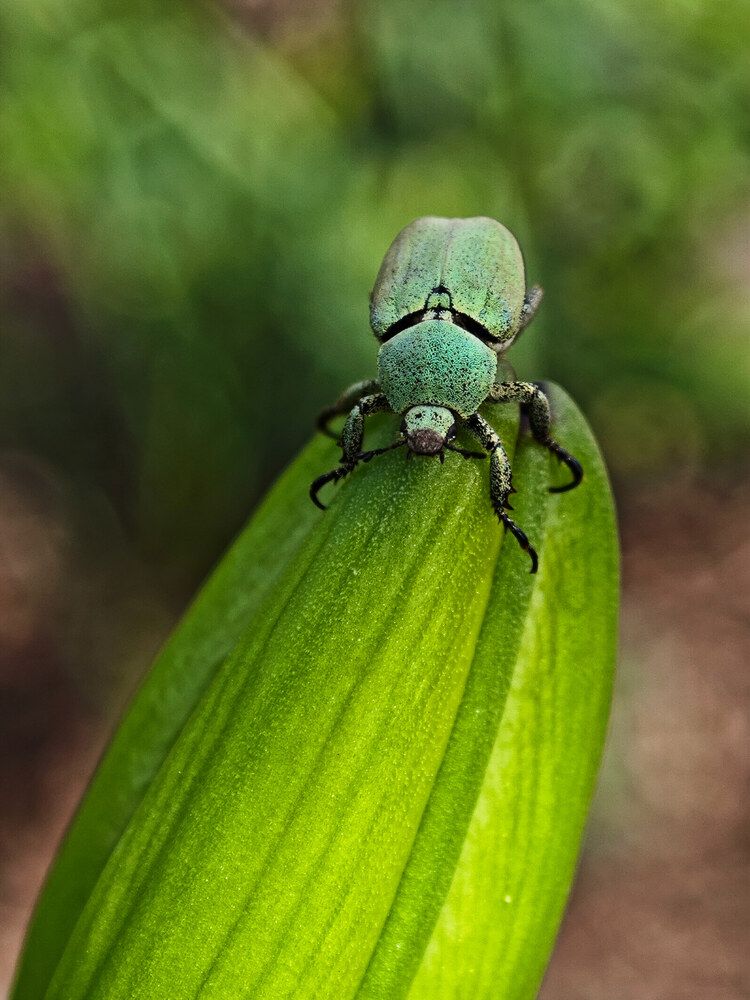 Photograph by Екатерина Щербина