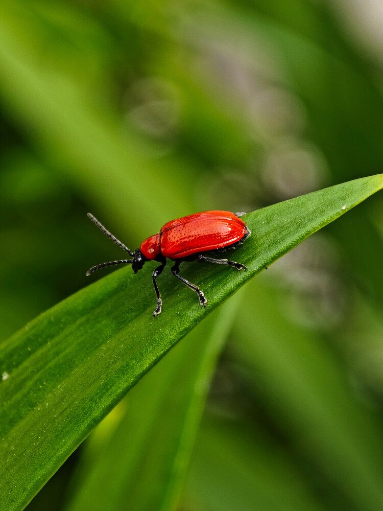 Photograph by Екатерина Щербина