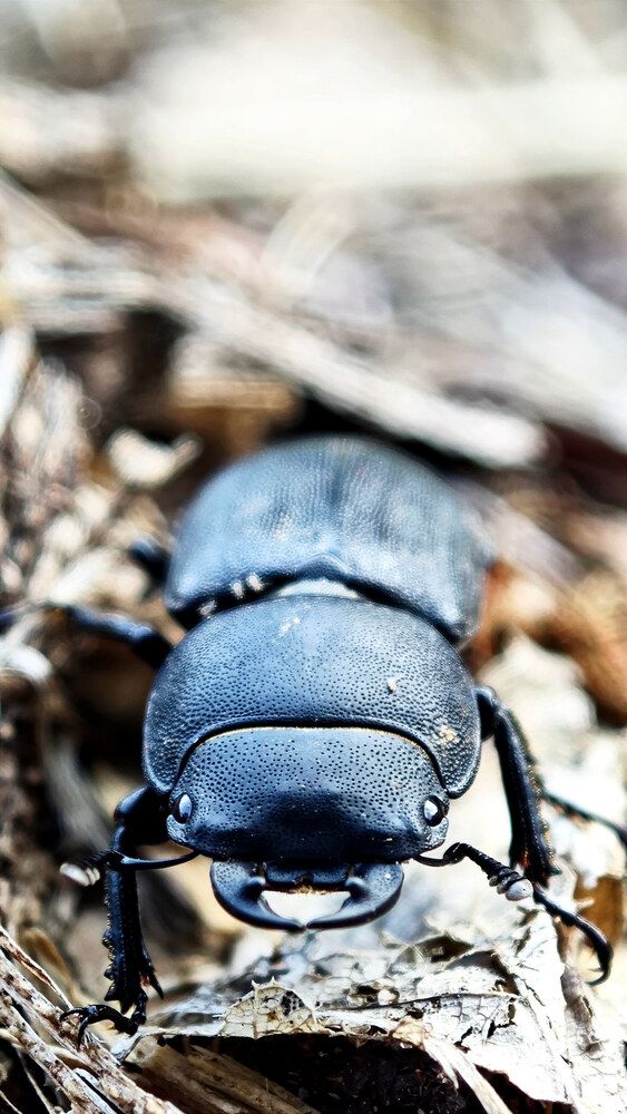 Photograph by Екатерина Щербина