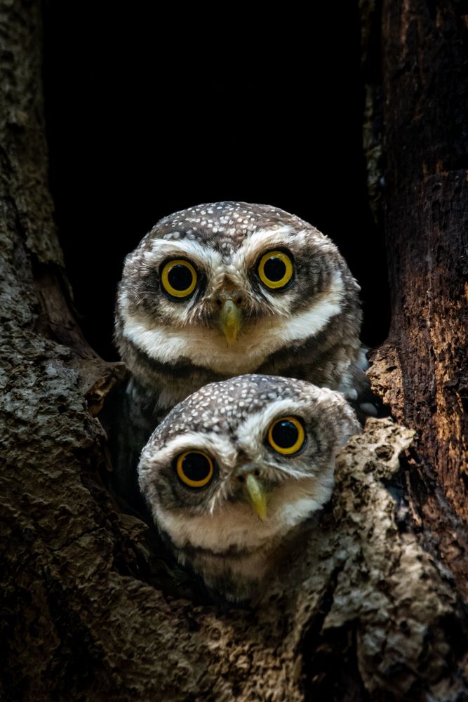 Photograph by Rehana Alpha