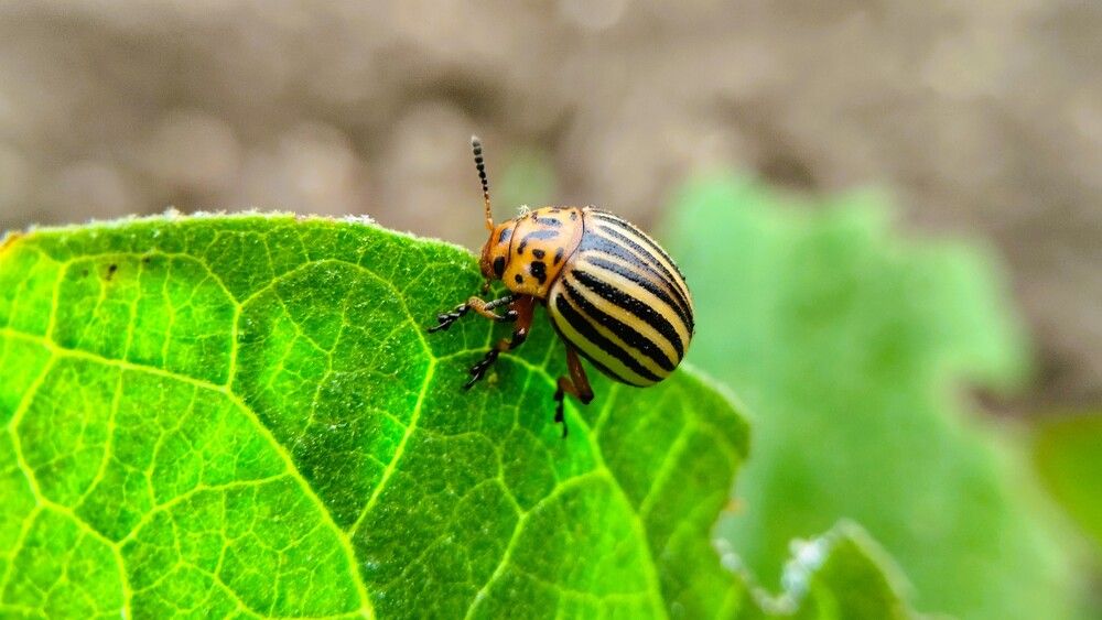 Photograph by Сергей Юрьевич