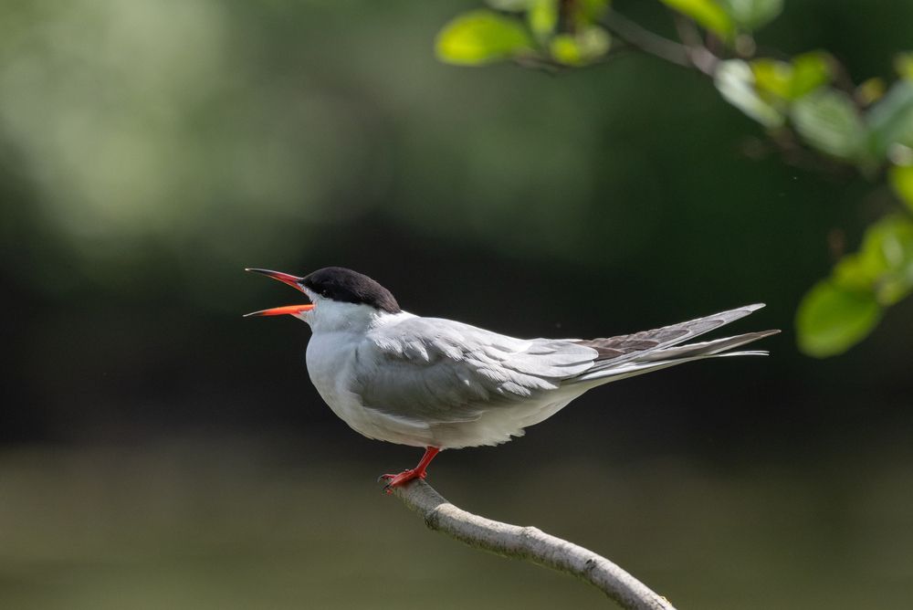 Отдых с разговором между рыбалкой