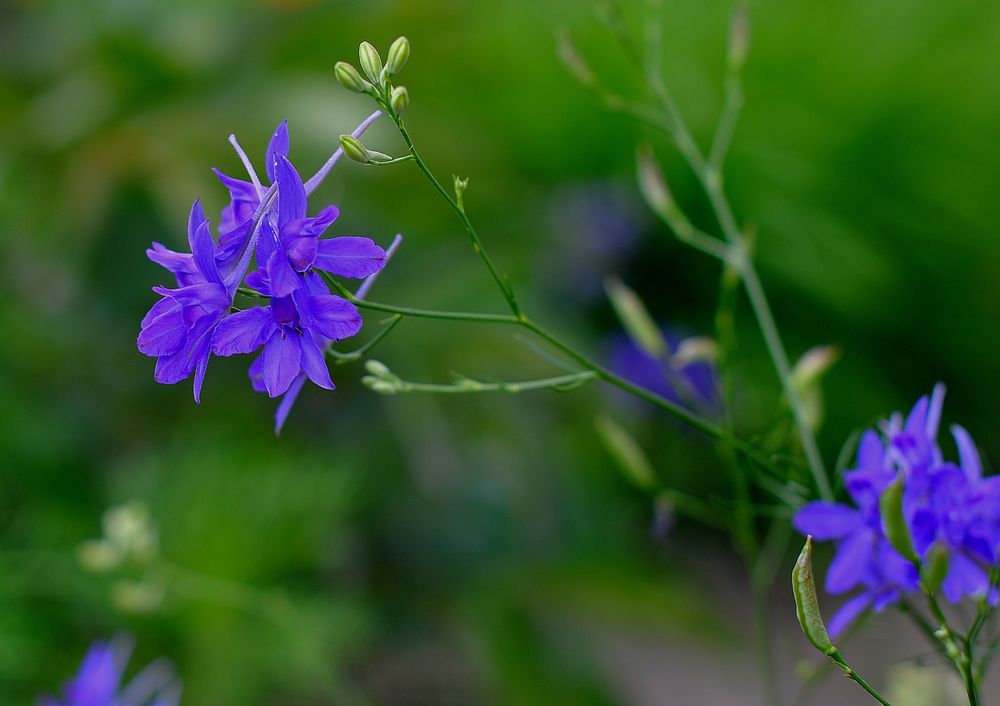 Photograph by Дмитрий Жуков