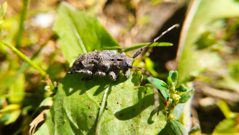 Photograph by Сергей Юрьевич