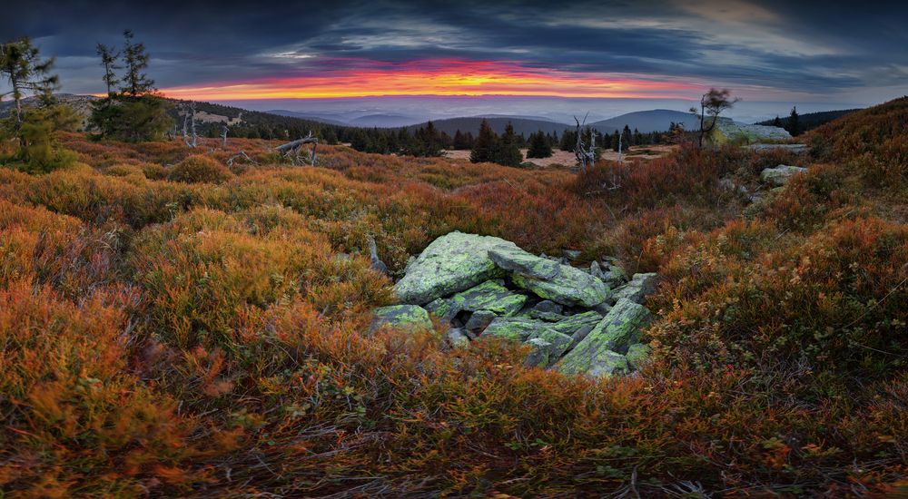 Photograph by Petr Fiala