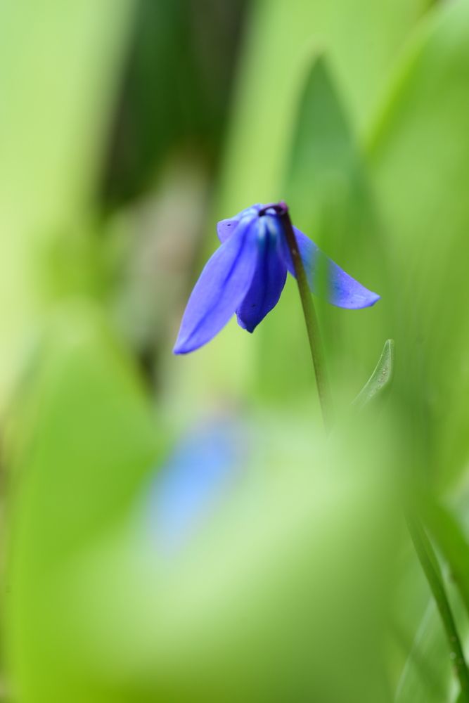 Photograph by Ксения Шилина